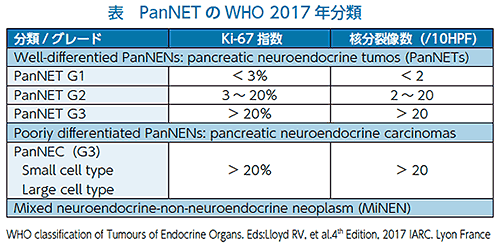 表　PanNETのWHO 2017年分類