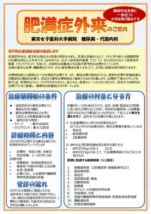 肥満症チラシ大.jpg